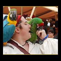 4x6 Pirate Festival -02